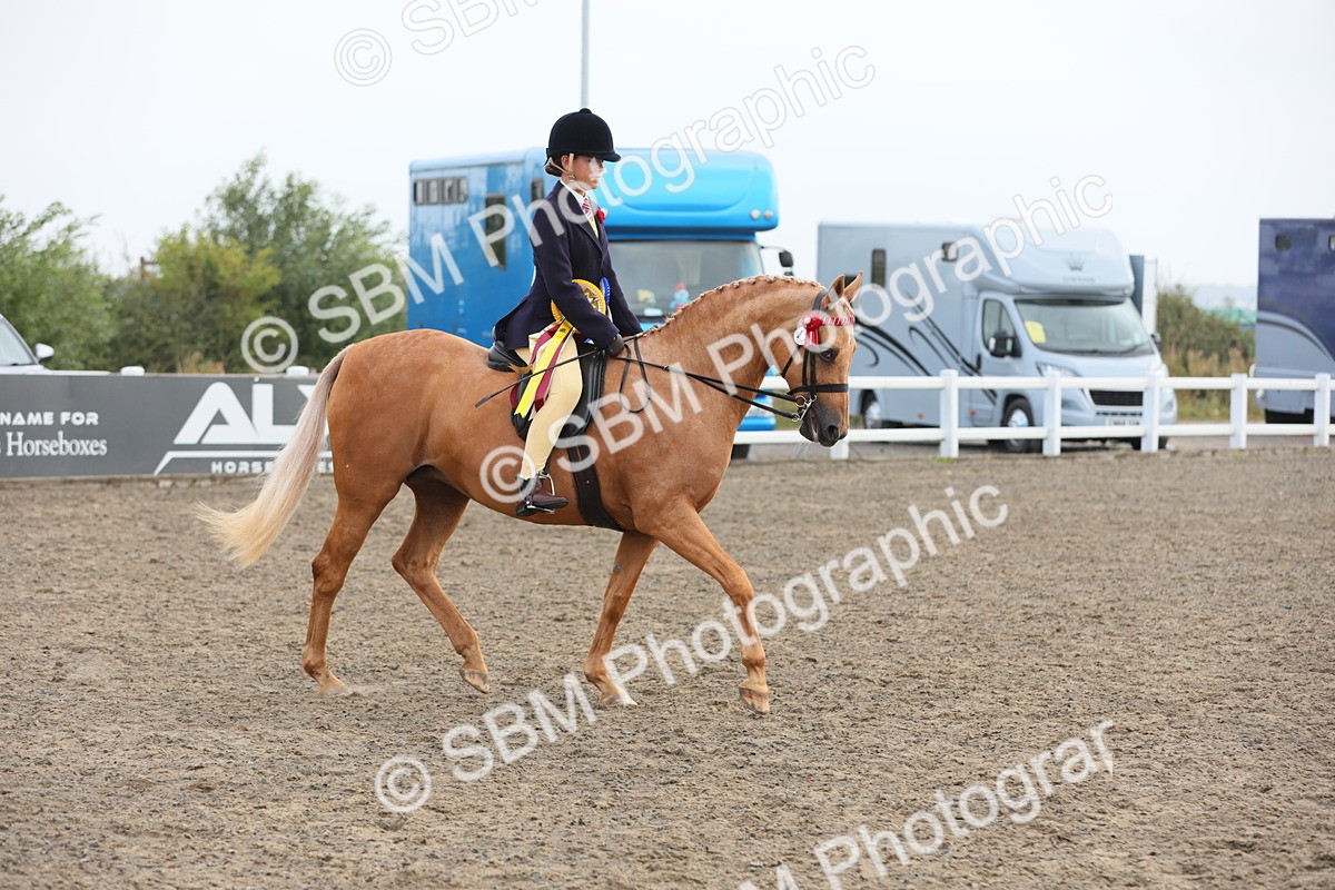 SBM_22505 - Young Rider Championship