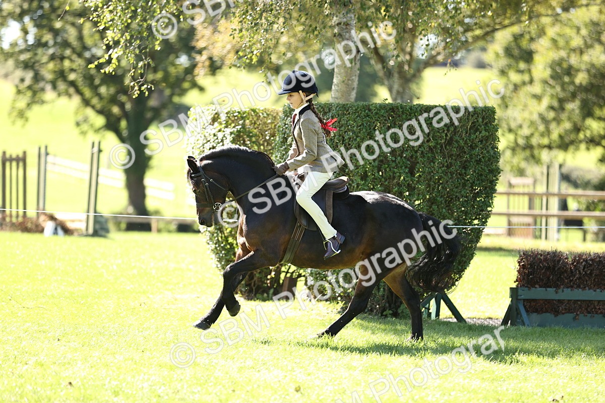 SBM_19334 - S3 - TSR Ridden Pony Showing