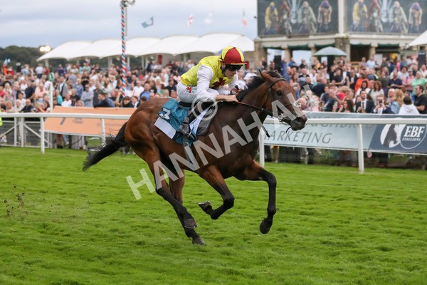 280723-Race 7-Knebworth-3020 - Race 7 8.20pm Sky Bet Go-Racing-In-Yorkshire Summer Festival Handicap