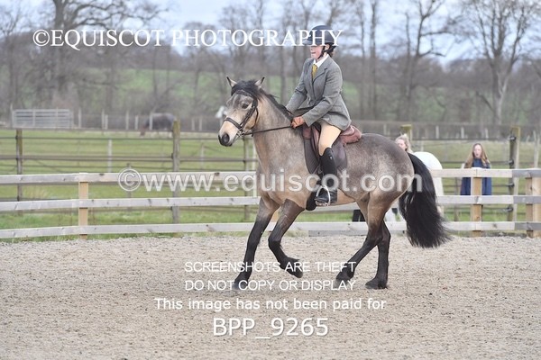 BPP_9265 - RING 2 - M&M