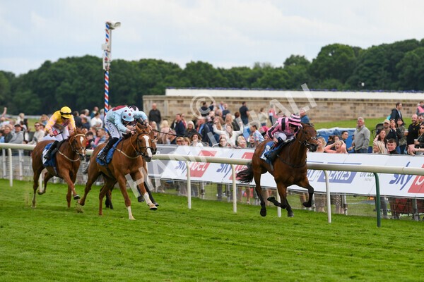 yr22052022r6-17 - Race 6: 6:05pm Sky Bet Sunday Series Stayers Stakes