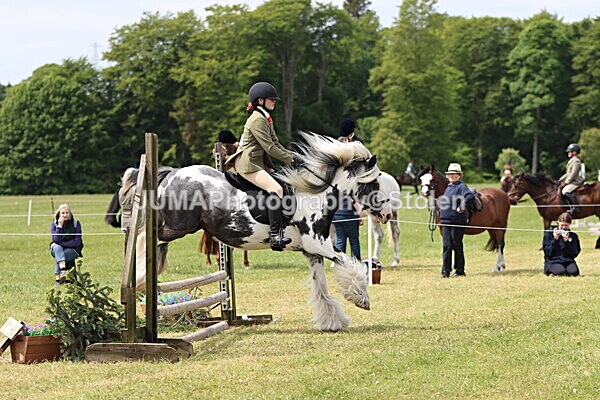 IMG_3149 - Working Hunter