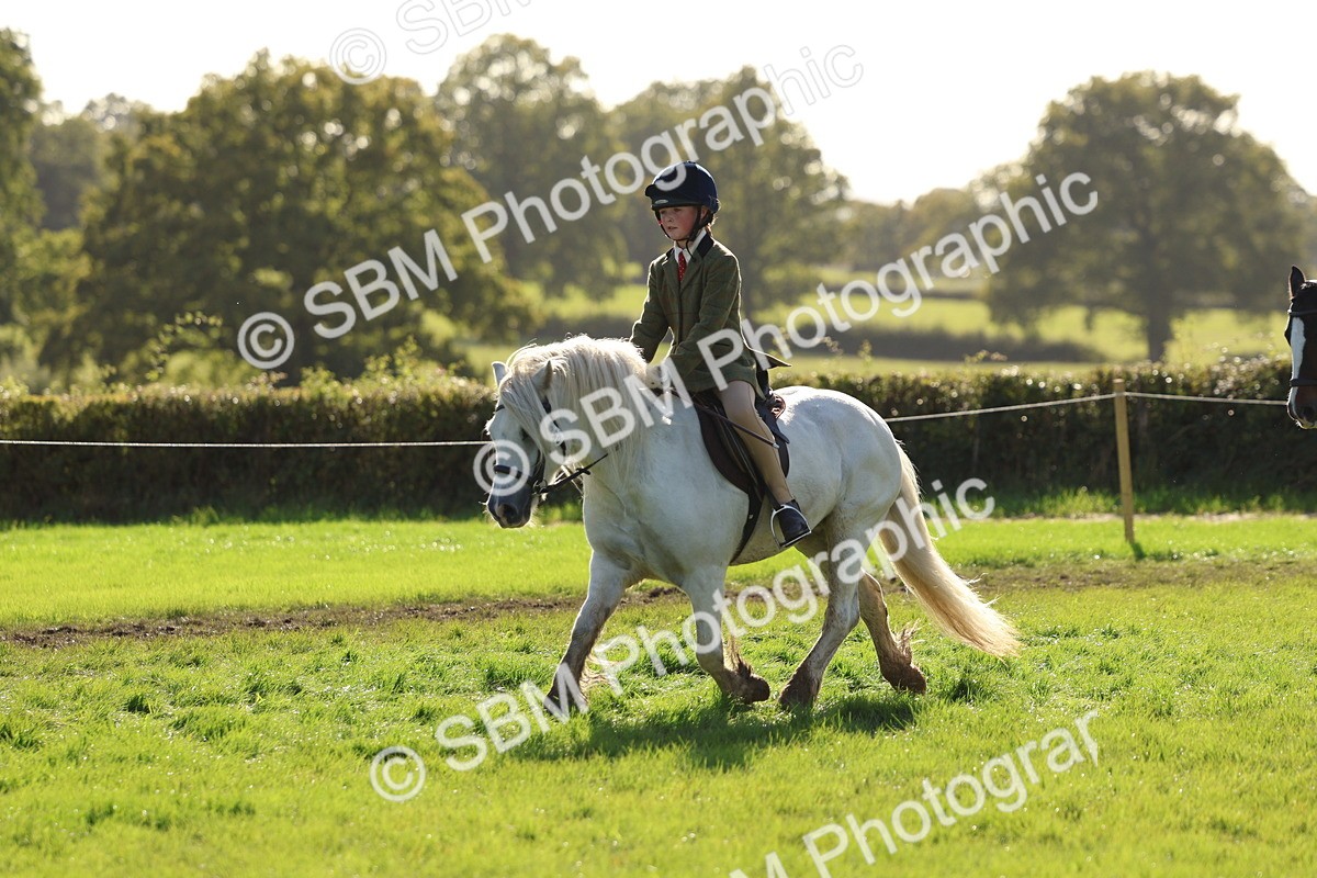 SBM_52462 - S13 - Pony Club Pony