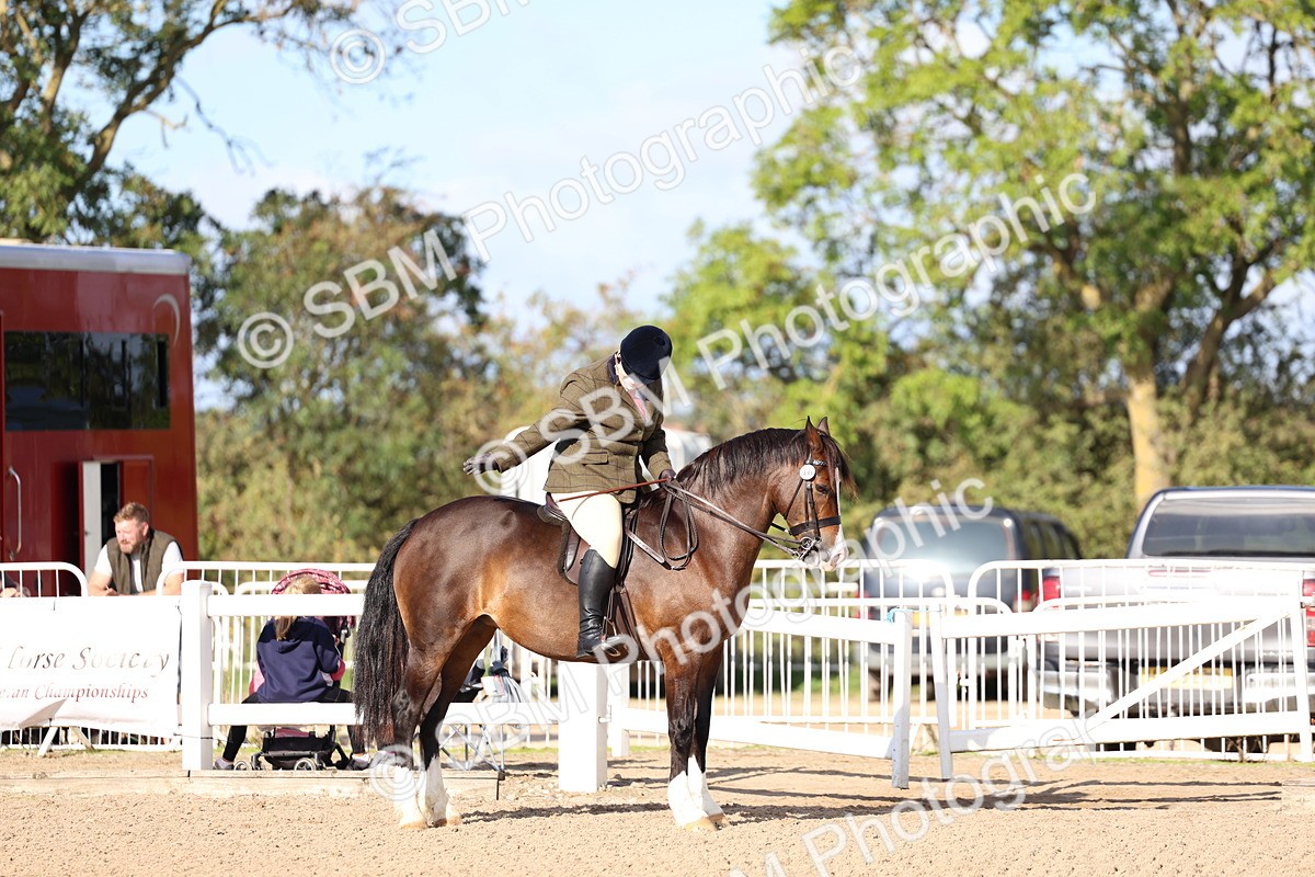 SBM_08934 - Class 302 - Ridden M&M - Large Breeds