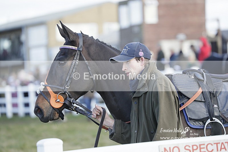 PtP 260223 1015 - South & West Wilts Point-to-Point Larkhill 26/02/23
