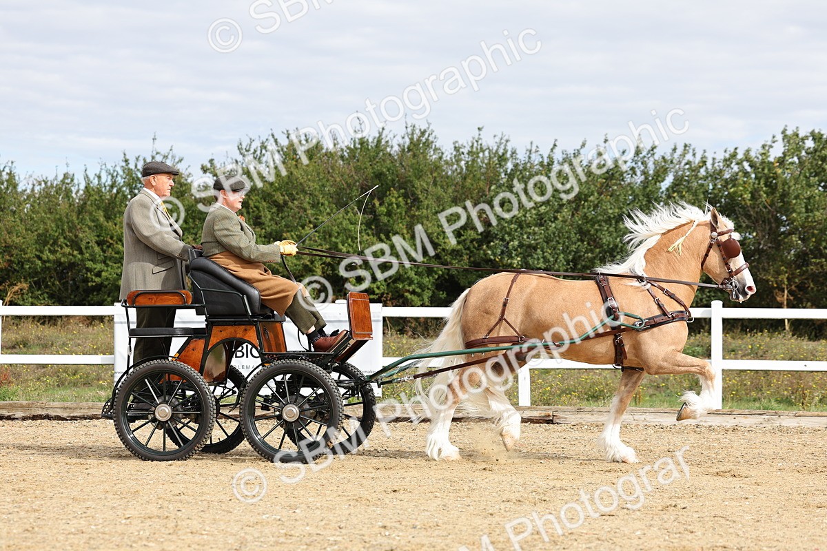 SBM_000719 - Class 6 - Exercise Vehicle 13.2 and over