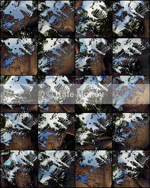 Looking Up, Looking Down - Mottisfont Abbey Open Exhibition