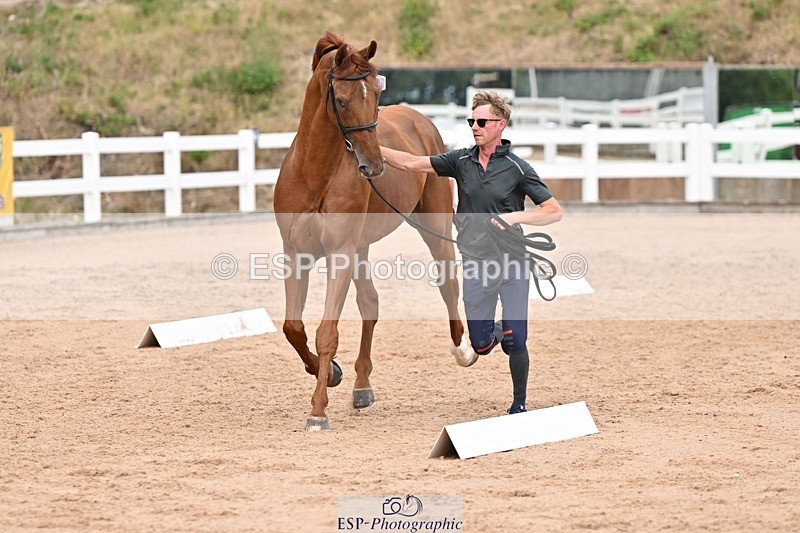 250716-163829-02695 - Trot Up 4.30 to 5.00