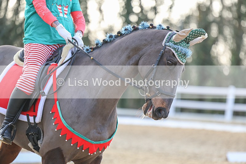 3E7A4610 - Class 4: Prelim Section B