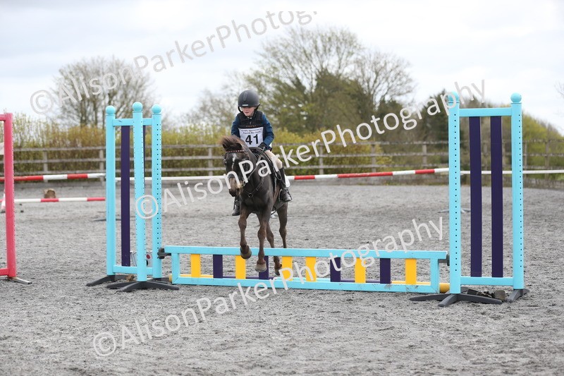 20260412-0578 - Show Jumping