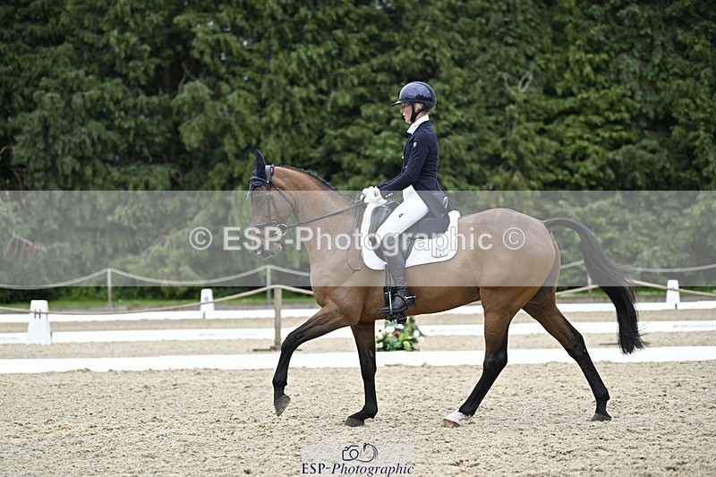 240523-145136-05118 - 442-FERNHILL_ZORO-Cassie_Sanger