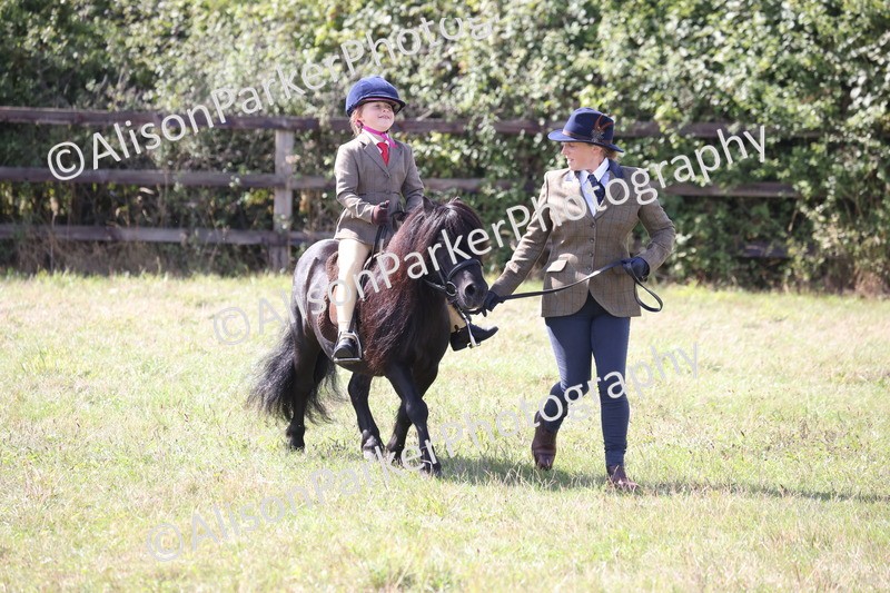 20260906-2767 - Class 25 - Absolute Beginners Pony