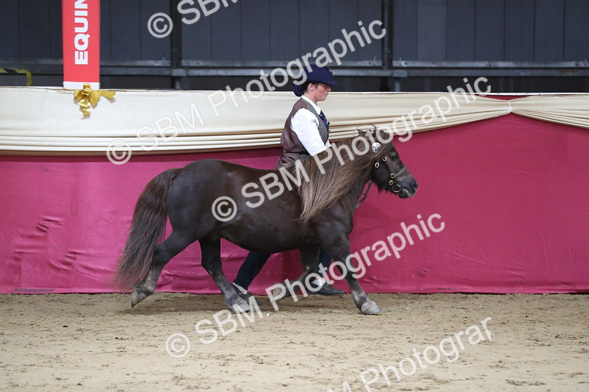SBM_05007 - Class 8R- Regional -IH Veteran