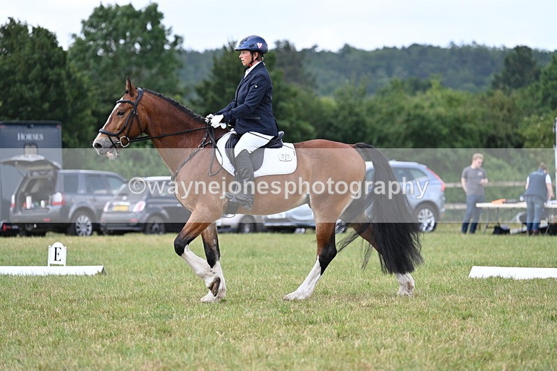 WJ7_4616 - Time 10:59 to 11:17