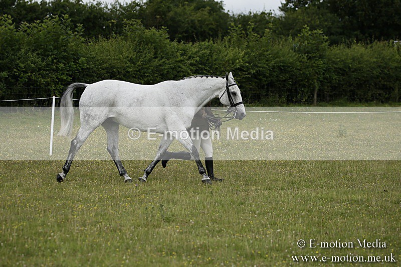 BVR160717-209 - Ring 2 BVRC Show 16/07/17