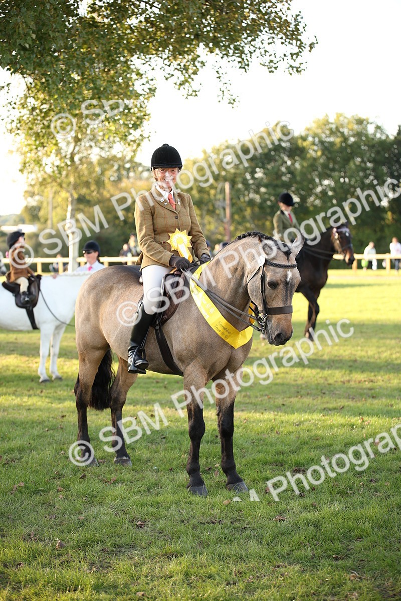 SBM_54485 - S27 - Mature Veteran - Ridden