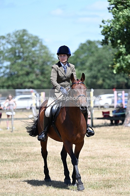 WJ7_3045 - Class 7 Riding Club Show Horse