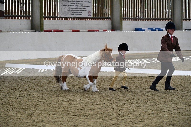 WJ5_4908 - Class 7 In hand coloured / odd coloured