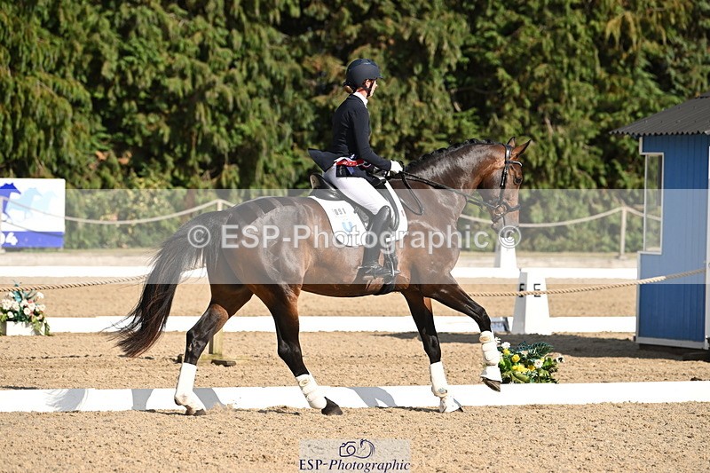 250808A-170051-02194 - Novice GOLD Presentations