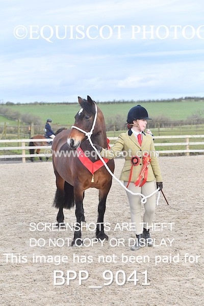 BPP_9041 - RING 2 - M&M