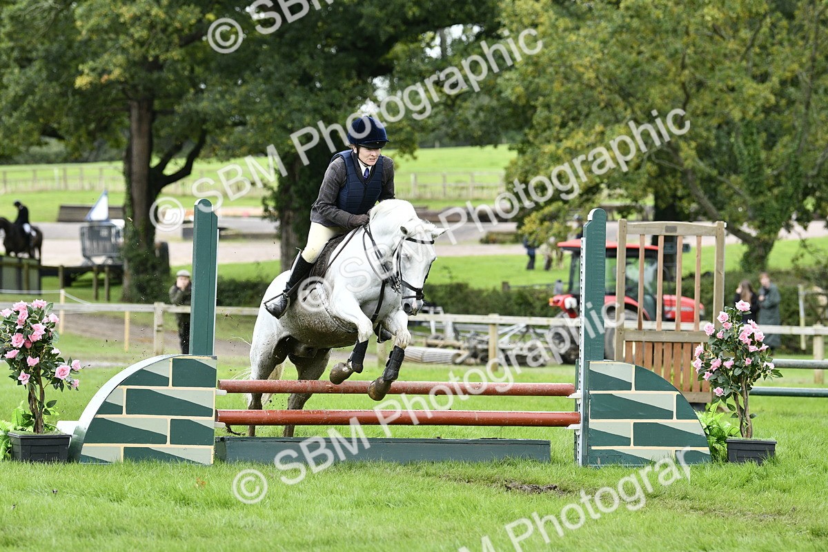 SBM_41315 - S32 - Mountain & Moorland Working Hunter Pony