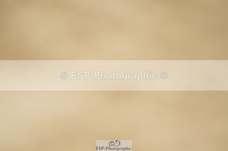 240309-104106-00097 - Cls 01 AE 70cm