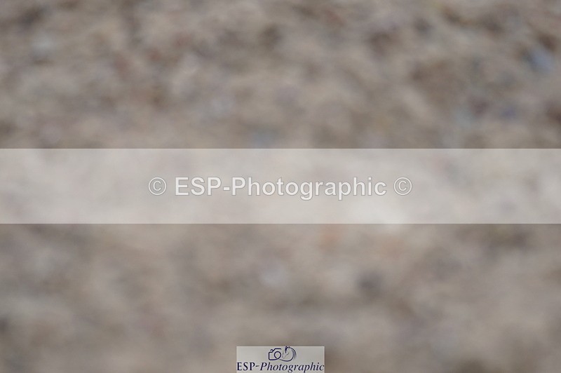 230708A-100010-00261 - Intro C