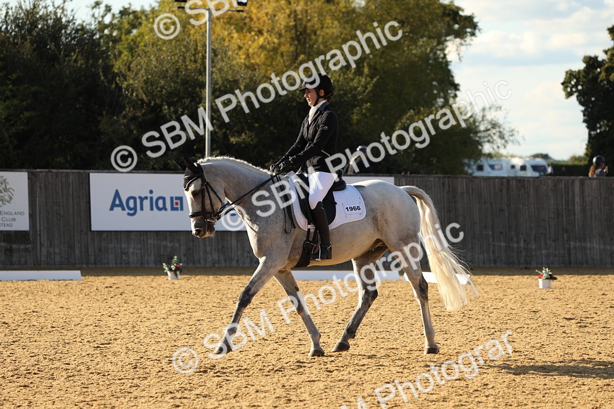 SBM_28606 - D20 - Grand Tour Championship - Elementary 44