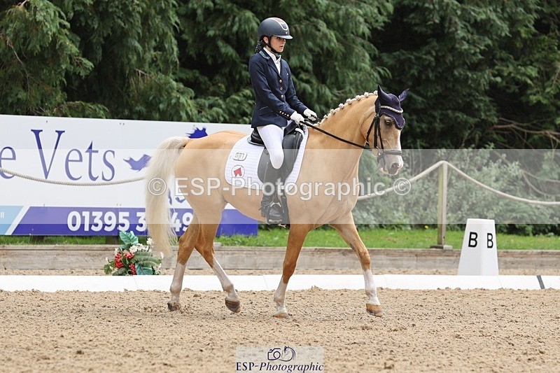 240810-143056-03661 - 301-Sophia.Longworth-Don.Deluxe