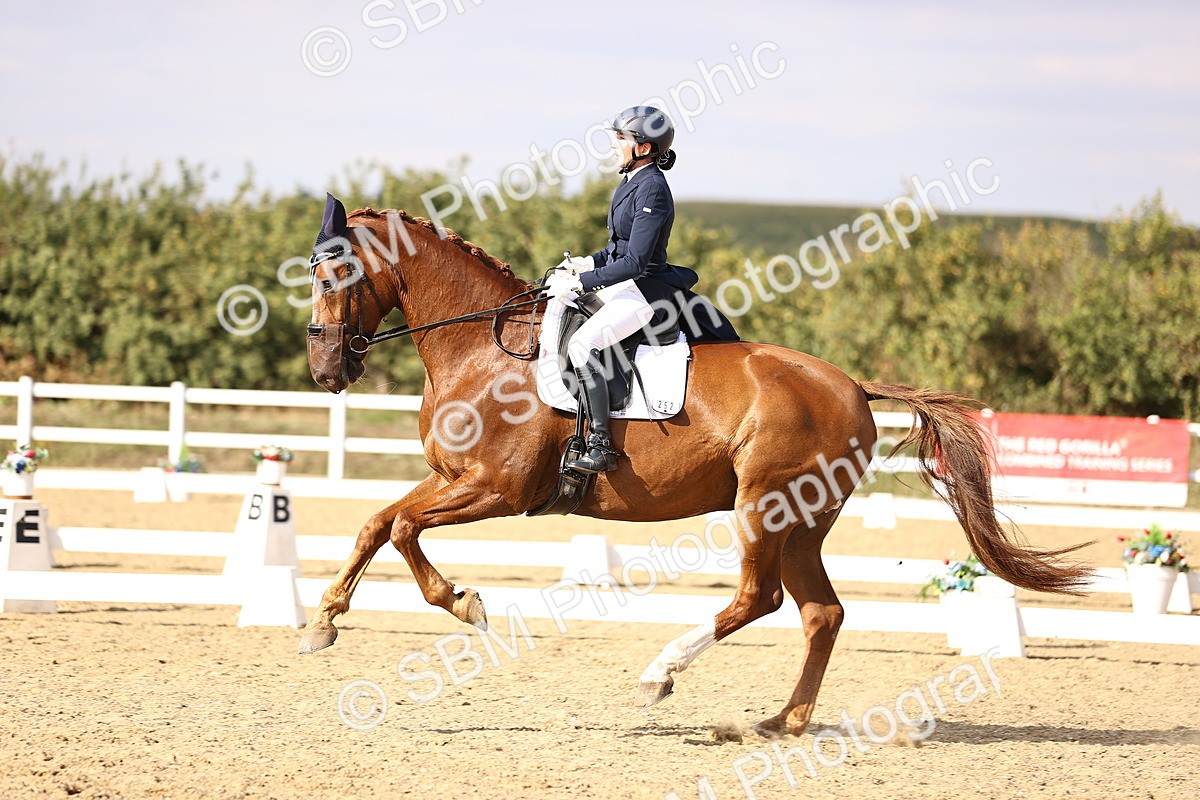 SBM_015513 - Class 11 - FEI PSG