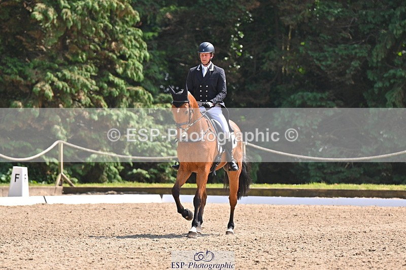 250523A-144226-07334 - B-363-Tom.D.Crisp-BLS.ABSOLUTELY