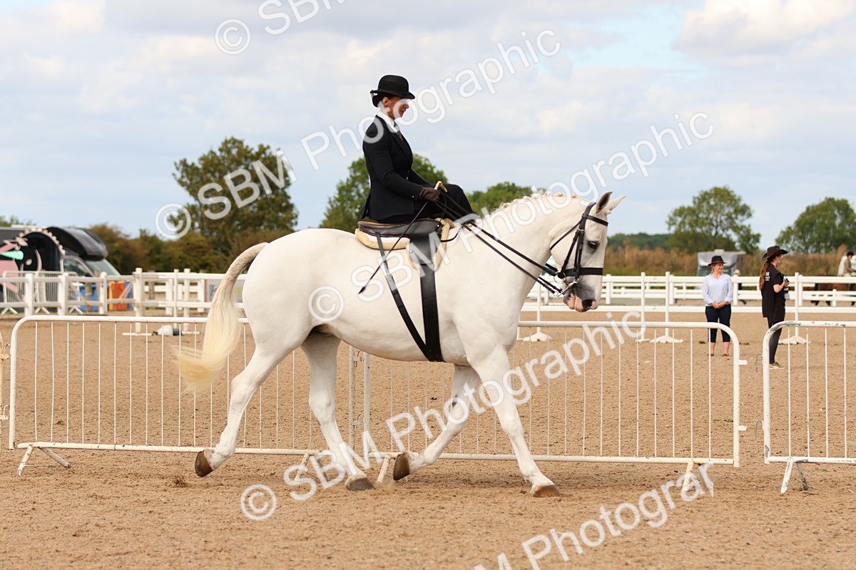 SBM_15884 - Class 216 - Best Side Saddle Horse-Pony