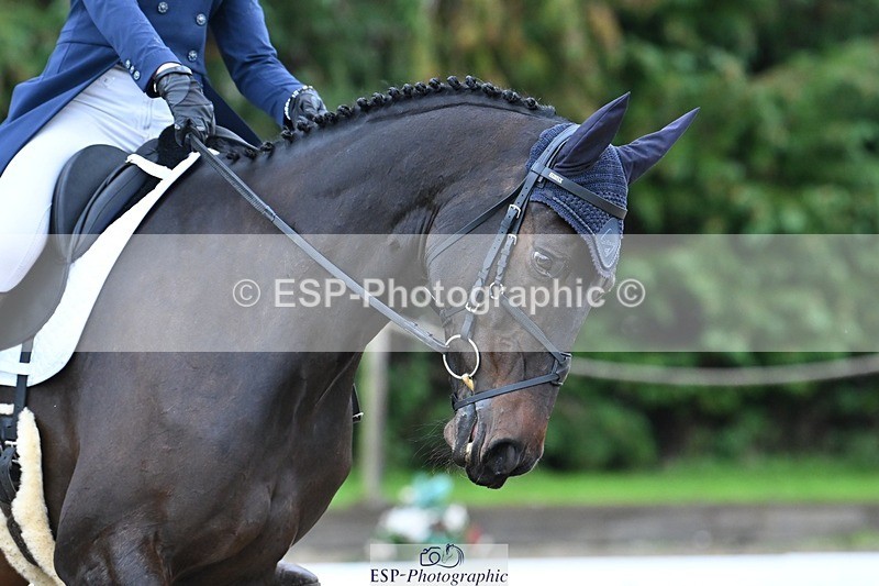 231019-120530-03011 - 112-REHY.HULABALOO-Millie.Rogers-DR