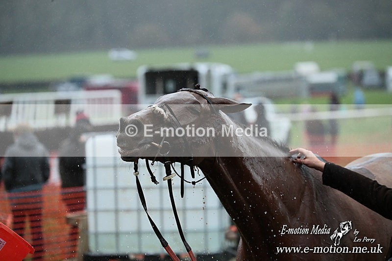 PtP 091125  1189 - Point-to-Point Wales Area Club Lower Machen, Gwent 09/11/25