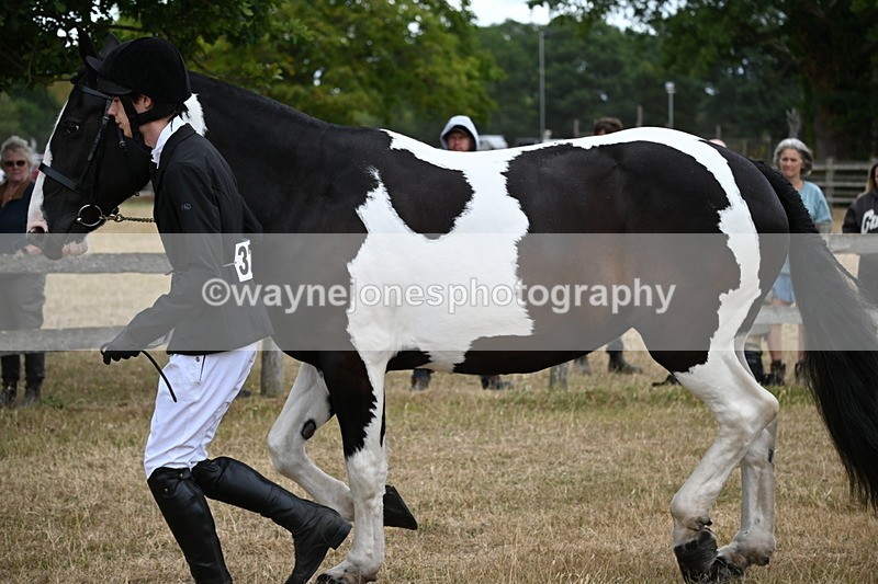 WJ6_8226 - Class 10 Coloured in Hand