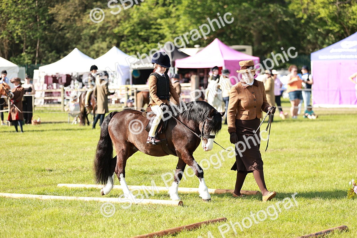 SBM_11281 - Class 106-107 - BSPS LIHS Working Sports Pony