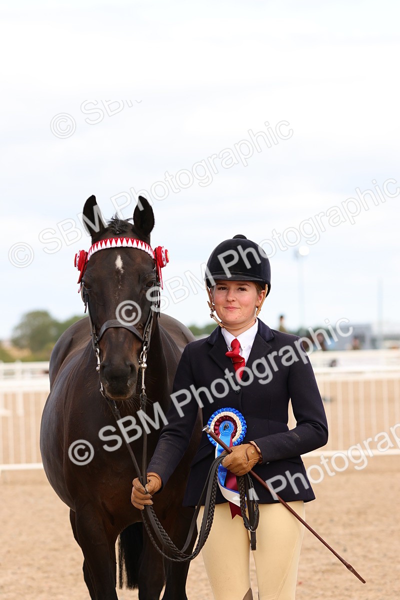 SBM_12366 - Class 210 - IH Show Horse