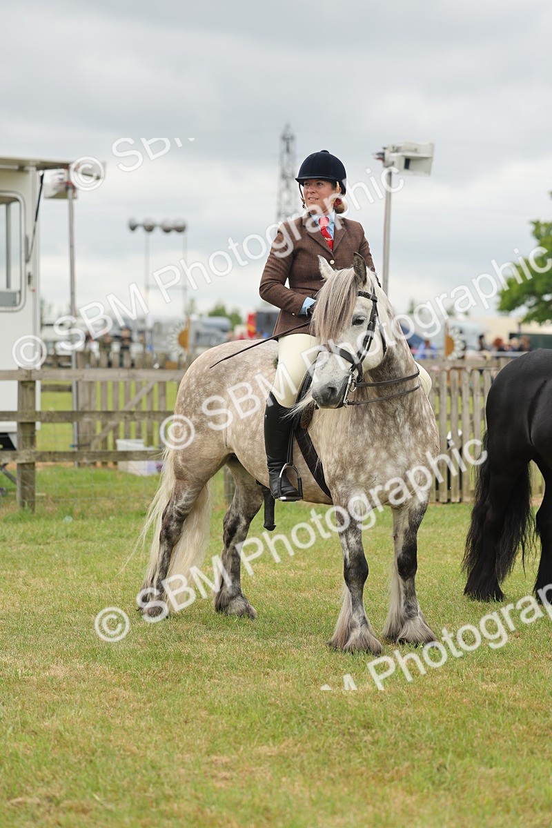 SBM_09006 - Class 78-80 - Ridden M&M Non Welsh Ponies