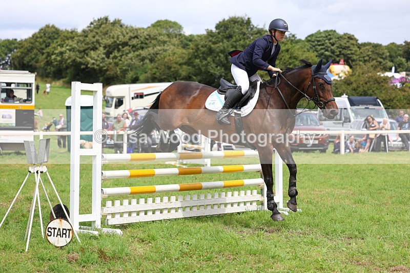 3E7A6971 - Class 5: Senior British Novice/90cm open