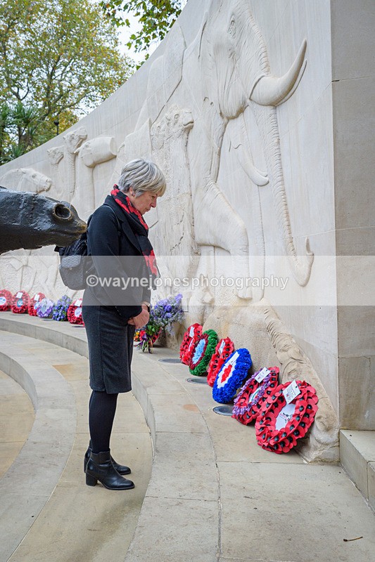 NGP_8251 - 2024 Animals in War Remembrance Gathering