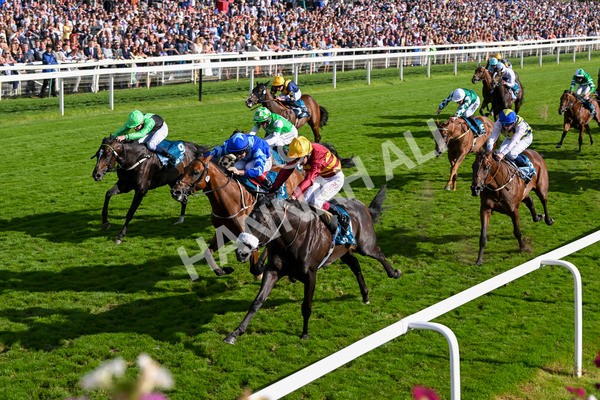240824-Race 6-Tropical Storm-1853 - Race 6 4.45pm Julia Graves Roses Stakes