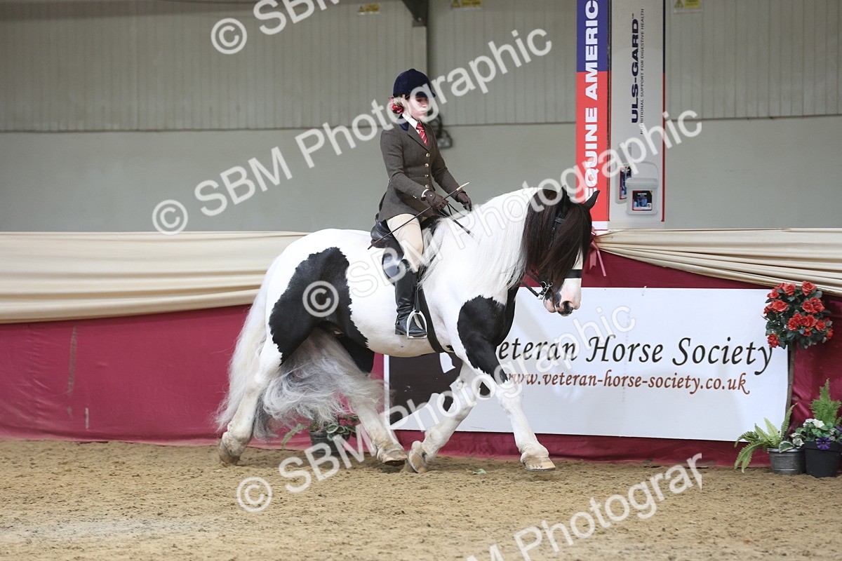 SBM_23704 - class 906 - Supreme Final - Ridden Pre Vet
