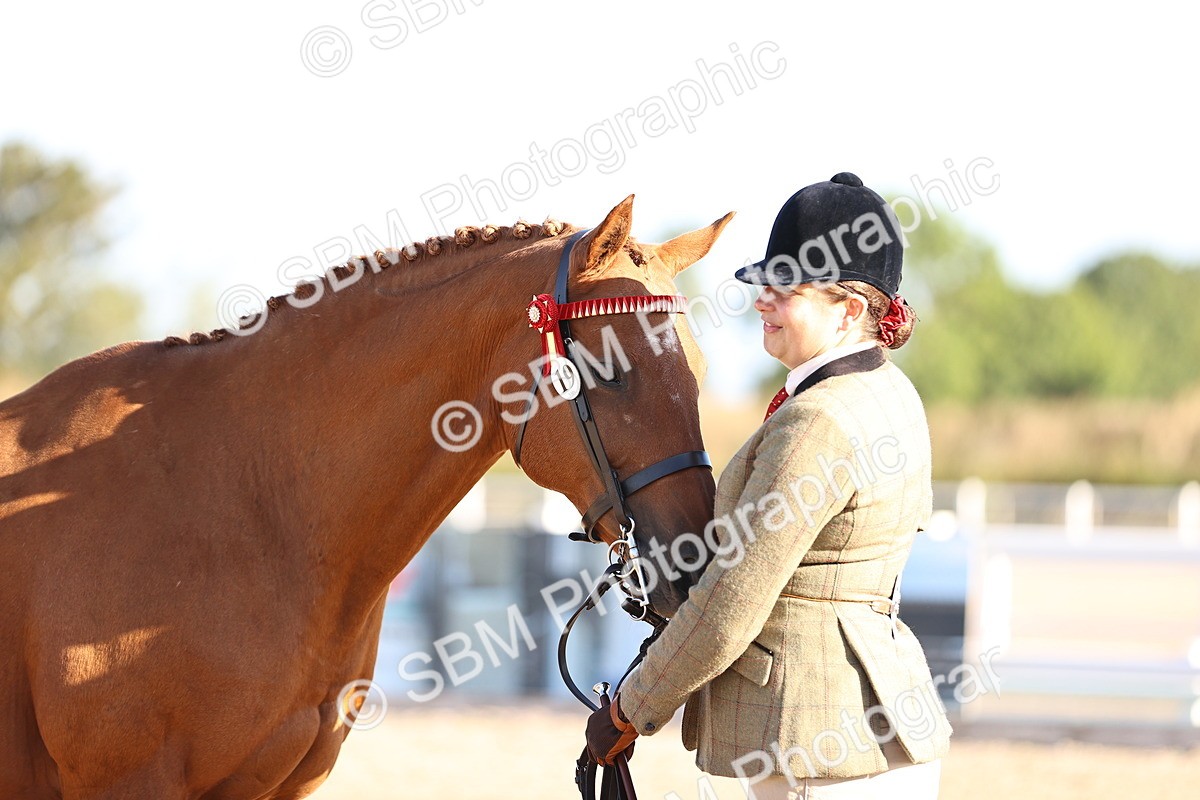 SBM_08355 - Class 401 - IH Veteran Horse