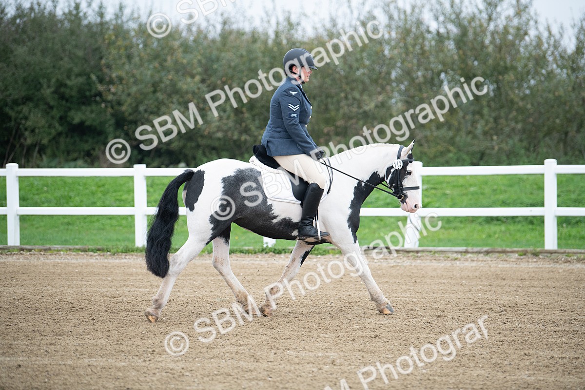 SBM_003481 - Introductory Test 3