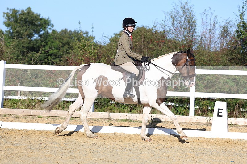 3E7A5288 - Class 8: Small Ridden Hunter