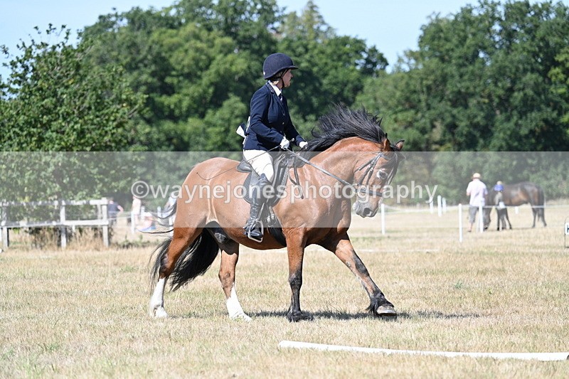 WJ7_0794 - Time 12:03 to 12:23