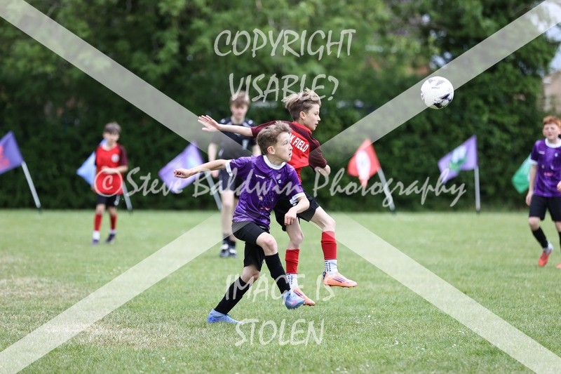 1DX31378 - Brook Field V Goddard Park