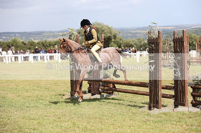 JPP_2131 - Class 19: Working Hunter 60cm