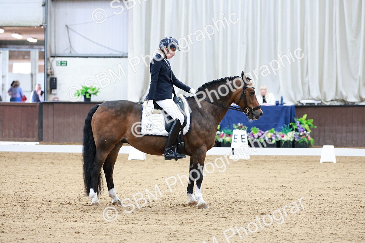 SBM_017165 - Class15 - FEI Pony