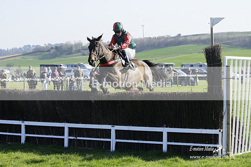 PtP 190322 596 - Wilton Hunt PtP Milborne St Andrew 19/03/22